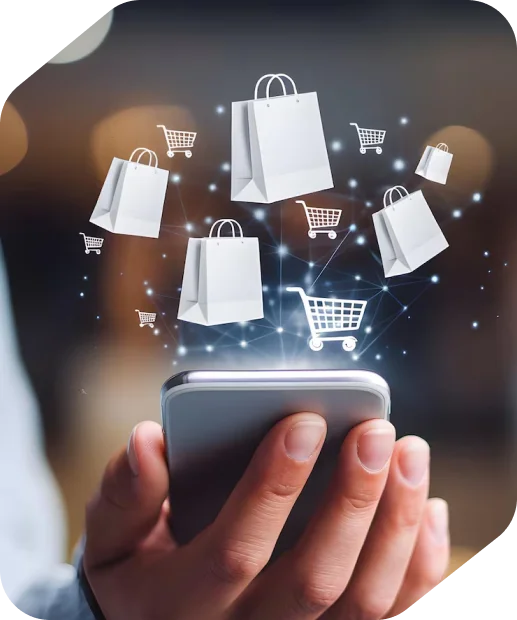 Online store ecommerce solution